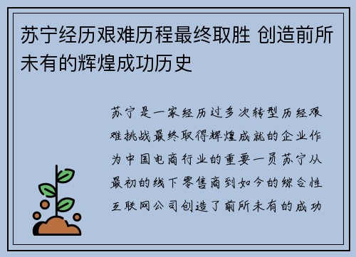 苏宁经历艰难历程最终取胜 创造前所未有的辉煌成功历史
