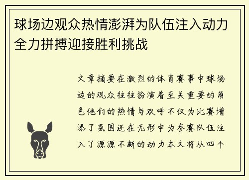 球场边观众热情澎湃为队伍注入动力全力拼搏迎接胜利挑战