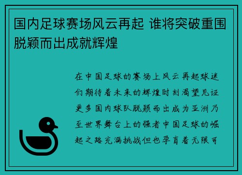 国内足球赛场风云再起 谁将突破重围脱颖而出成就辉煌