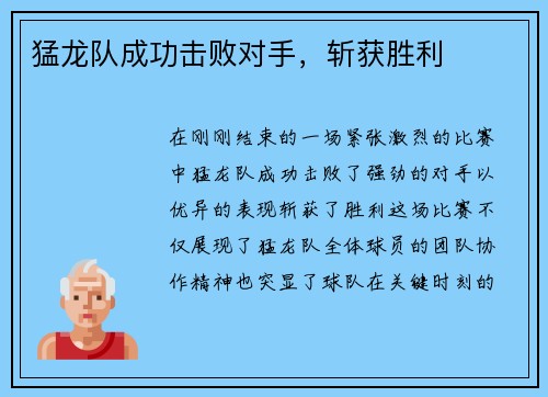 猛龙队成功击败对手，斩获胜利